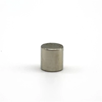 Standard Samarium kobolt sylindermagneter